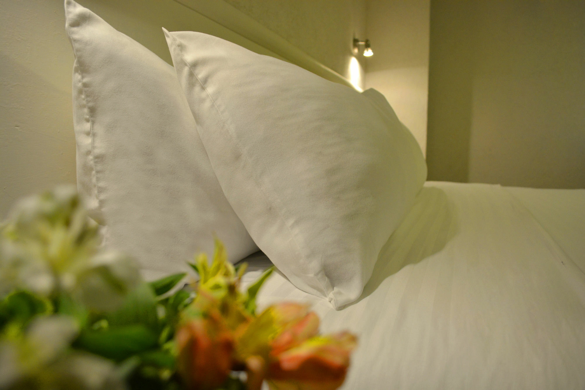 Eco Express Hotel Zamora 사모라 데 이달고 외부 사진